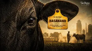 Hasanand Gau Samvardhan Kendra promoting sustainable indigenous cattle conservation in Vrindavan